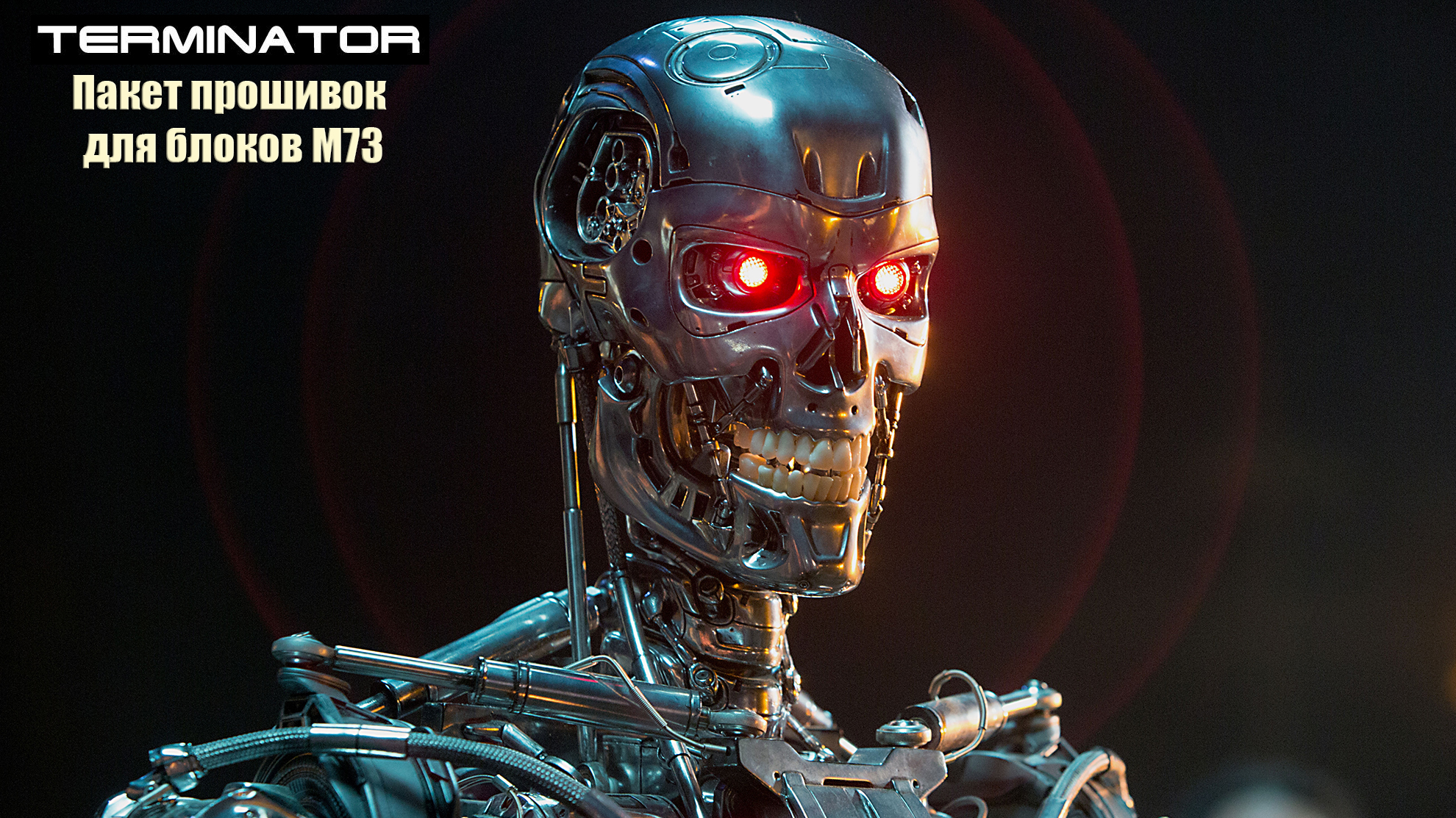 Пакет прошивок от TERMINATOR для блоков М73 (очень динамичные!)